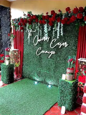 Wall Flowers Designs and Decor