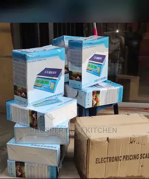40 Kg Digital Scale