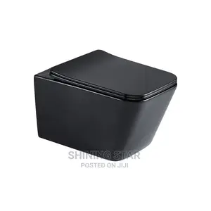 Black Conceal Toilet Set With Tank