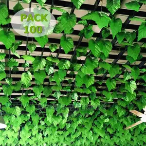 Wall Flowers Designs and Decor