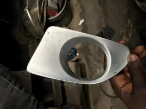 RX 350 Fog Lamp and Cover.