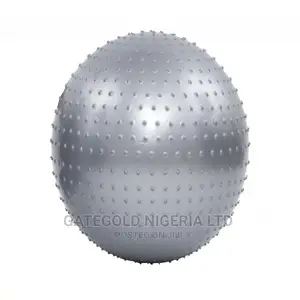 Swb75 Swiss Balls 75cm, [ Grey Pink ]