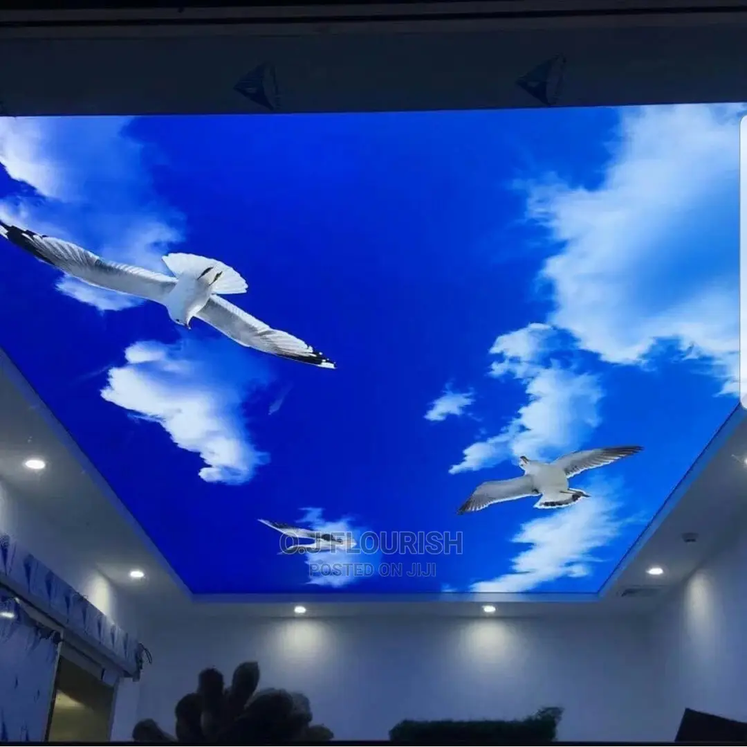 Eagles 3D Stretch Ceiling