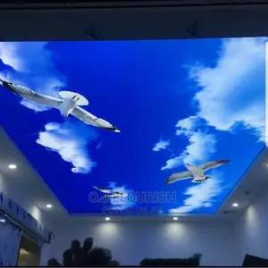 Eagles 3D Stretch Ceiling
