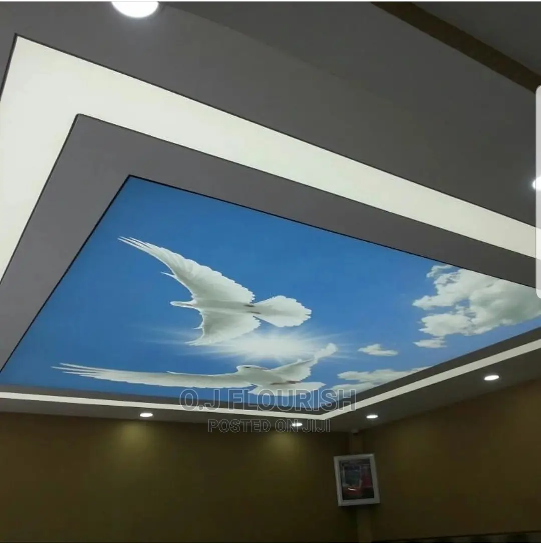 Eagles 3D Stretch Ceiling