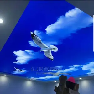 Eagles 3D Stretch Ceiling