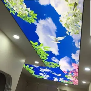 Beautiful 3D Stretch Ceiling Design