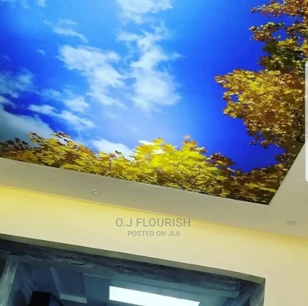 3D Stretch Ceiling Designs