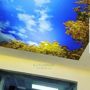 3D Stretch Ceiling Designs