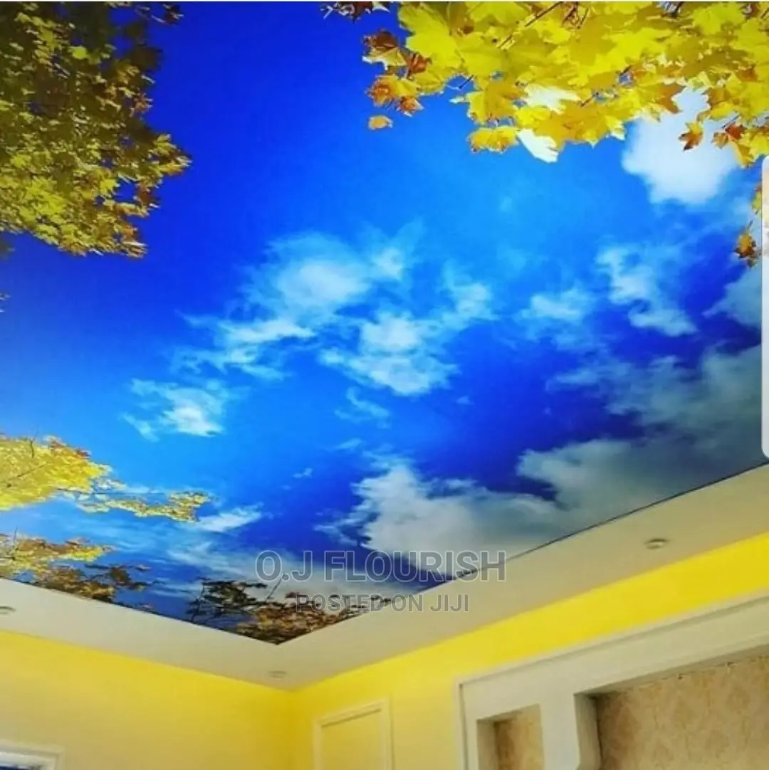 3D Stretch Ceiling Designs
