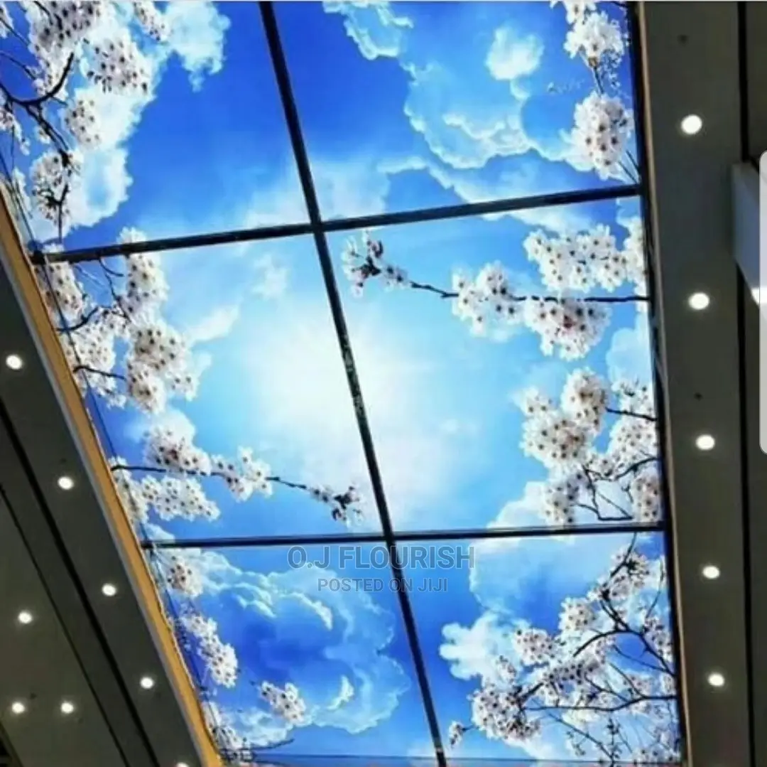 3D Stretch Ceiling Designs