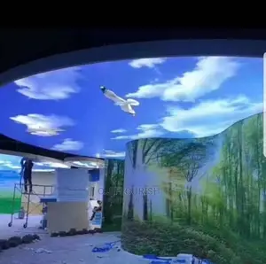 Exceptional 3D Stretch Ceiling Designs