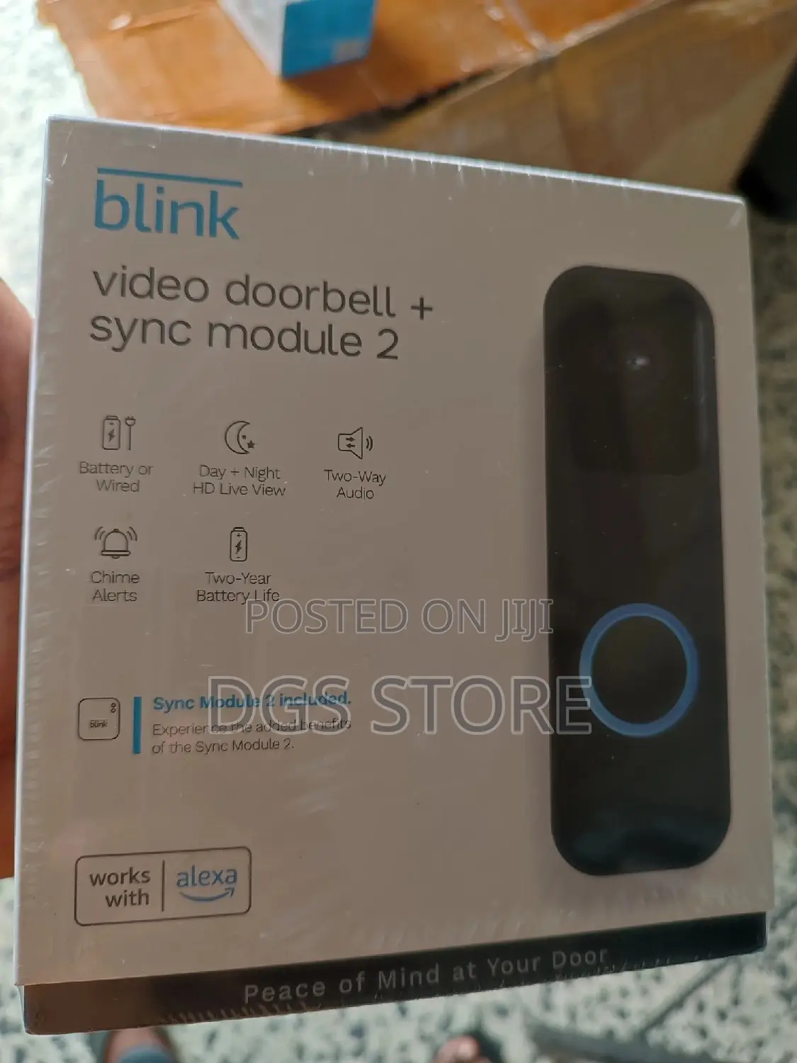 Blink Video Doorbell+ Sync Module 2 Work With Alexa