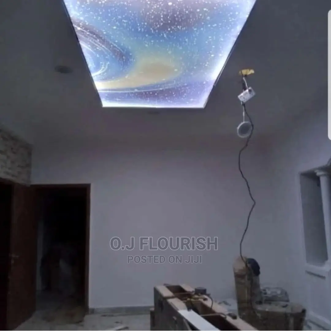 Topnotch 3d Stretch Ceiling Professional Design