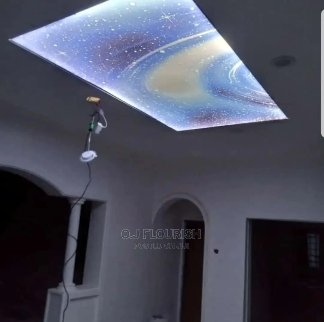 Topnotch 3d Stretch Ceiling Professional Design
