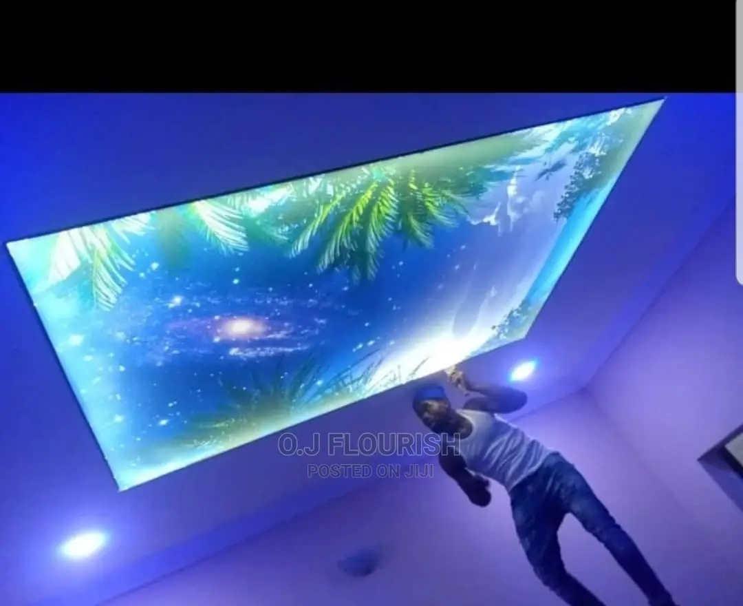 Amazing 3D Stretch Ceiling Designs