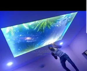 Amazing 3D Stretch Ceiling Designs