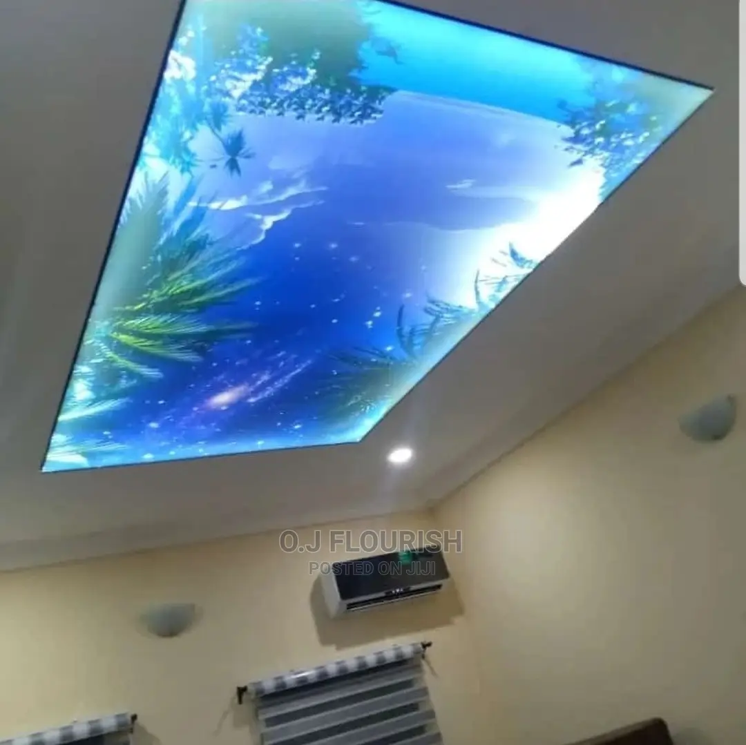 Amazing 3D Stretch Ceiling Designs
