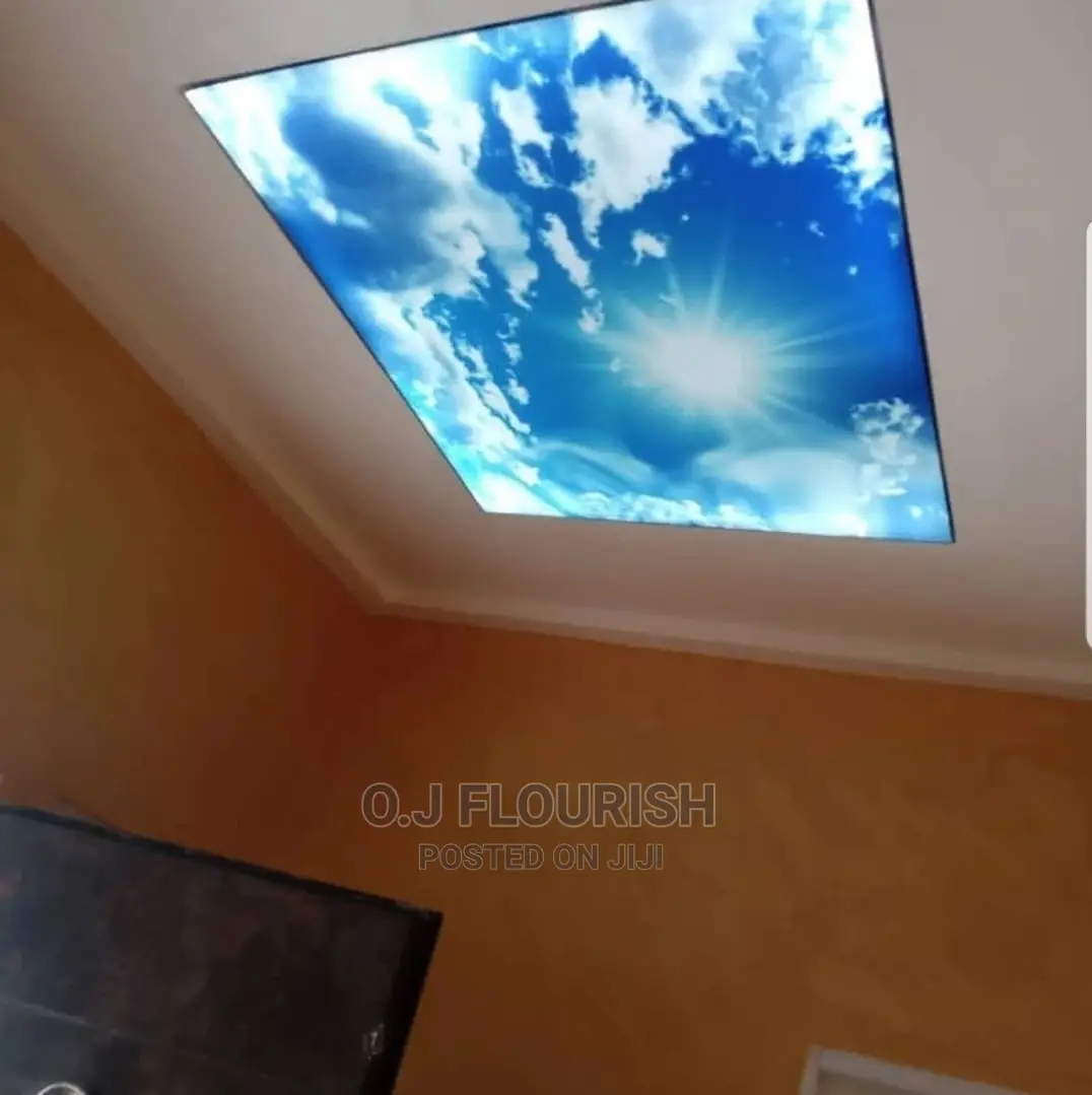 Amazing 3D Stretch Ceiling Designs