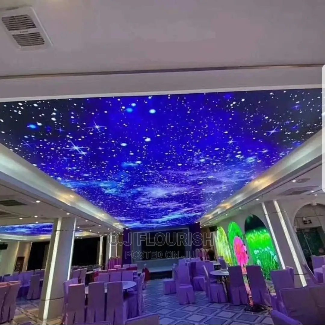 Amazing 3D Stretch Ceiling Designs