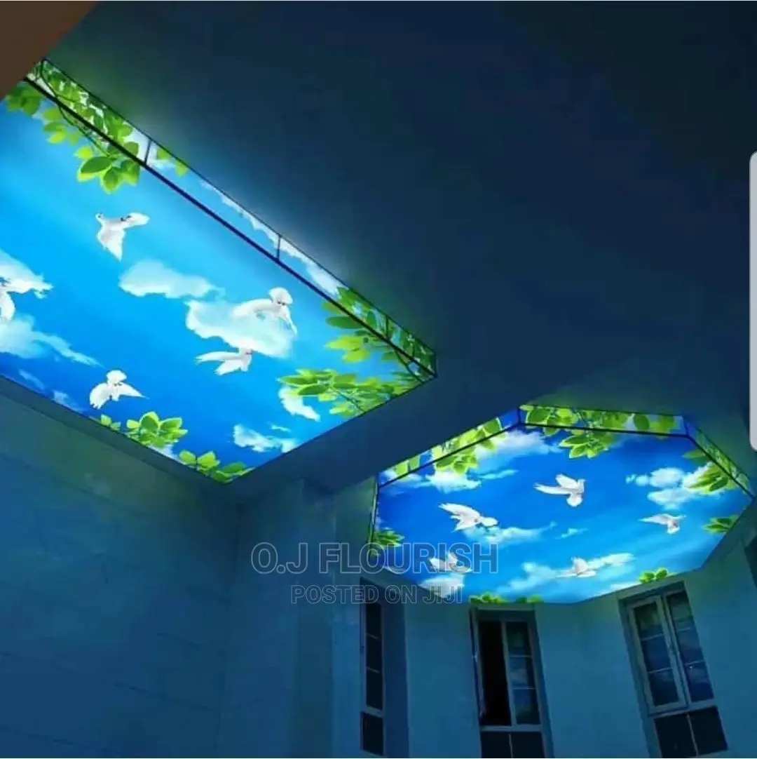 Amazing 3D Stretch Ceiling Designs