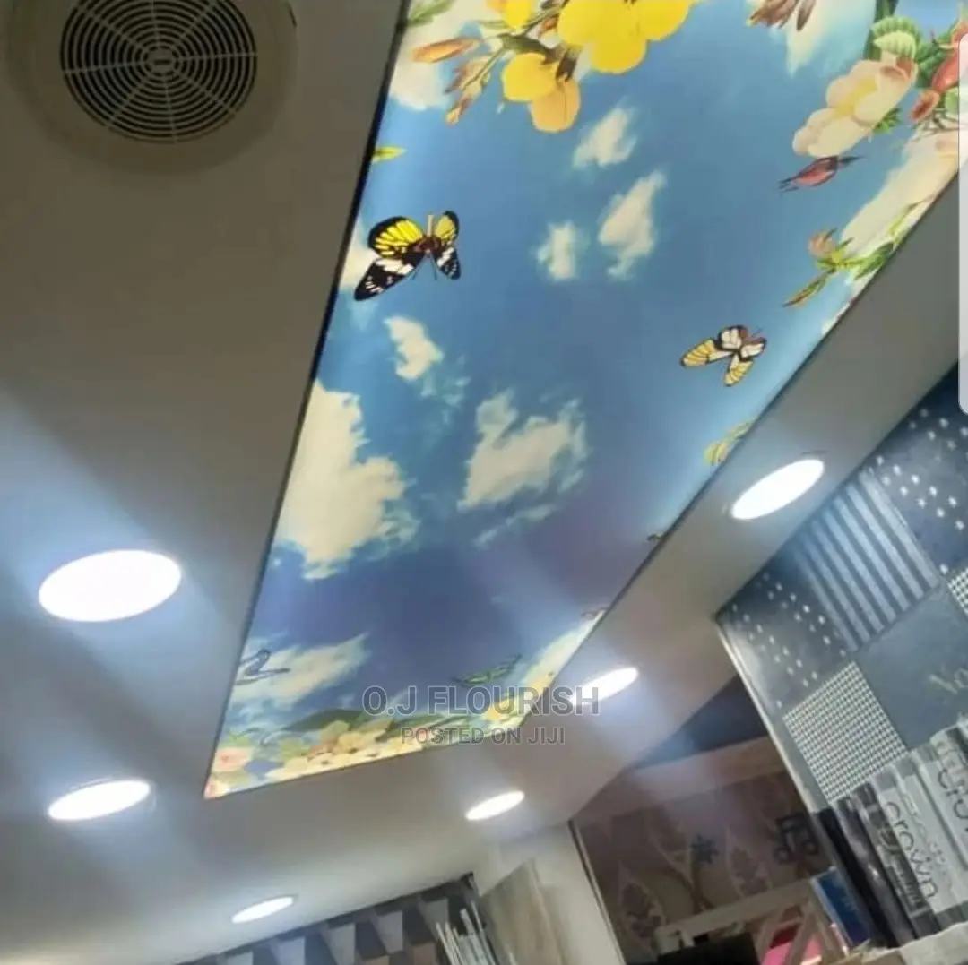 Amazing 3D Stretch Ceiling Designs