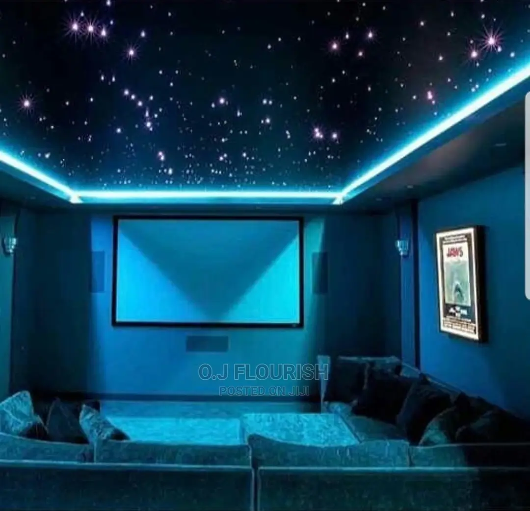 Amazing 3D Stretch Ceiling Designs