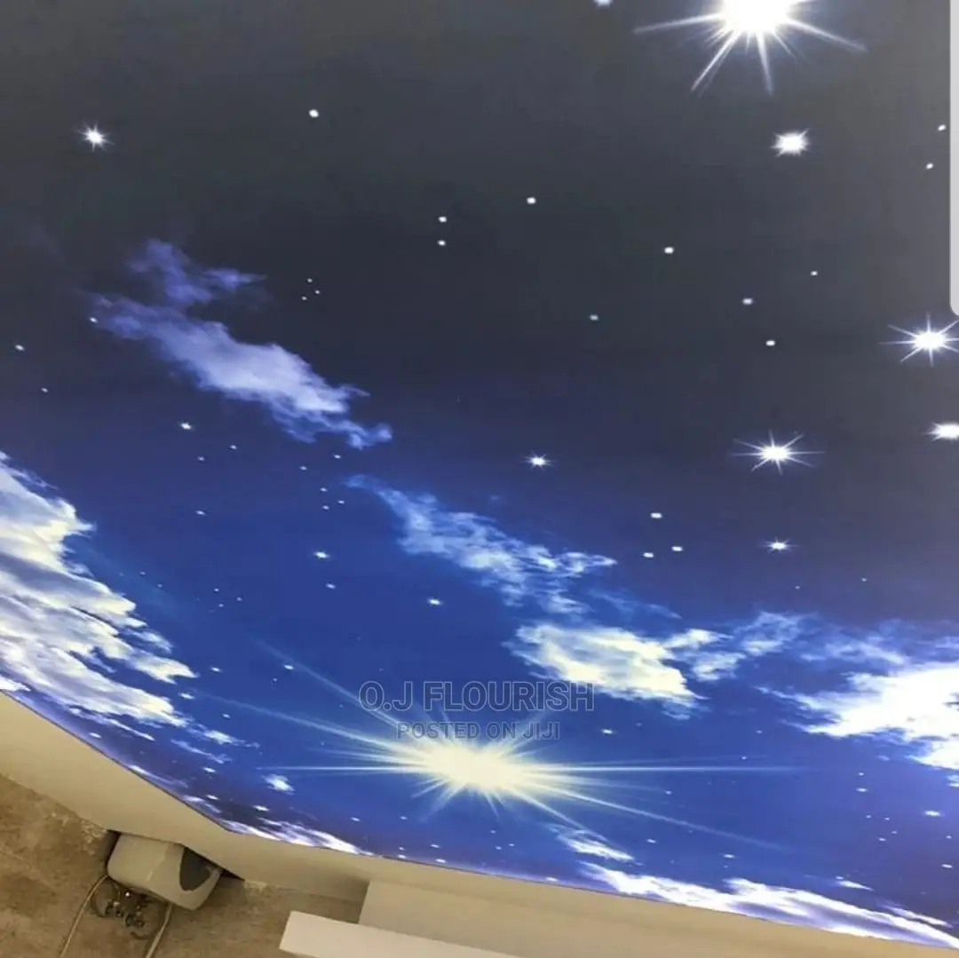 Nice 3D Stretch Ceiling Designs