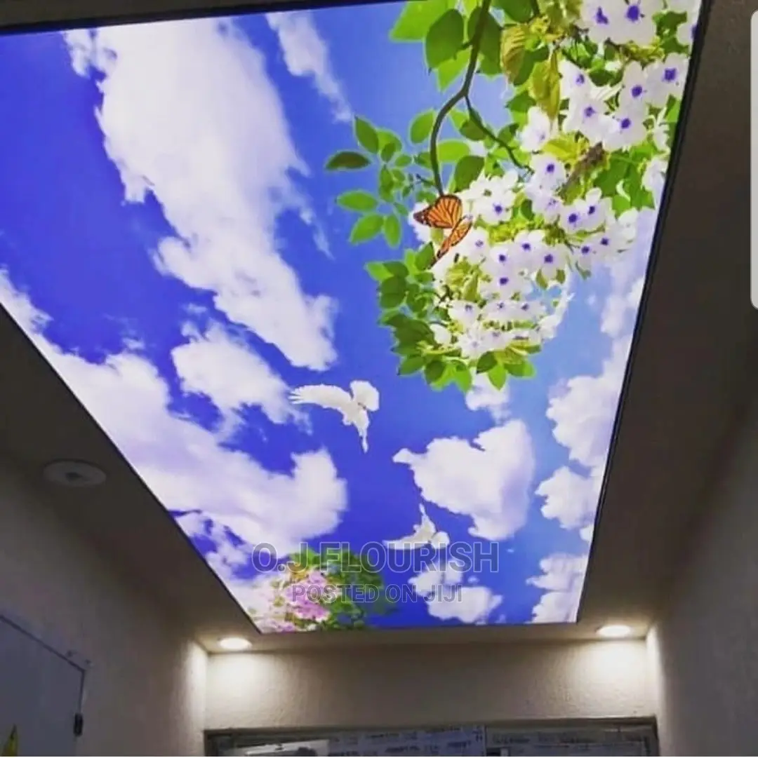 Nice 3D Stretch Ceiling Designs