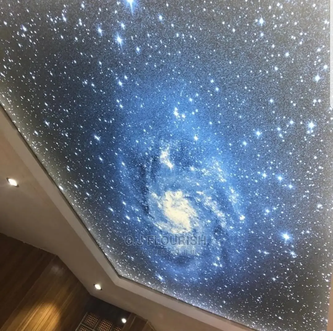 Nice 3D Stretch Ceiling Designs