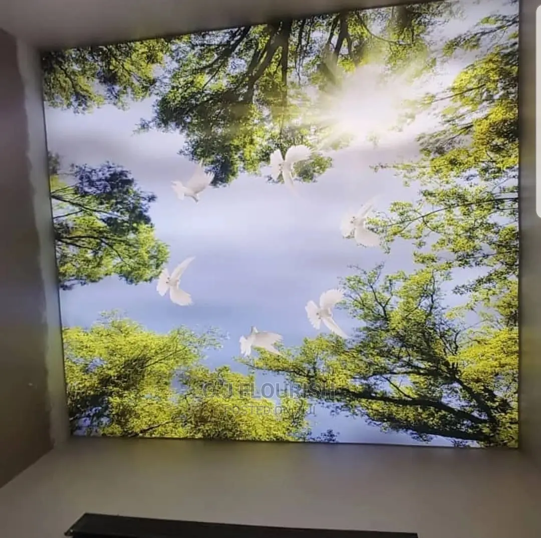 Nice 3D Stretch Ceiling Designs
