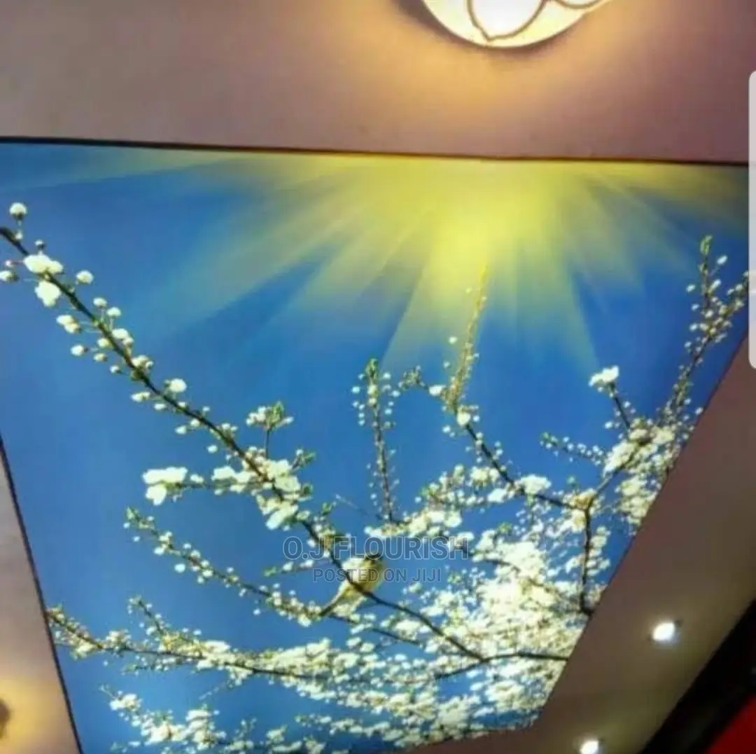 Nice 3D Stretch Ceiling Designs