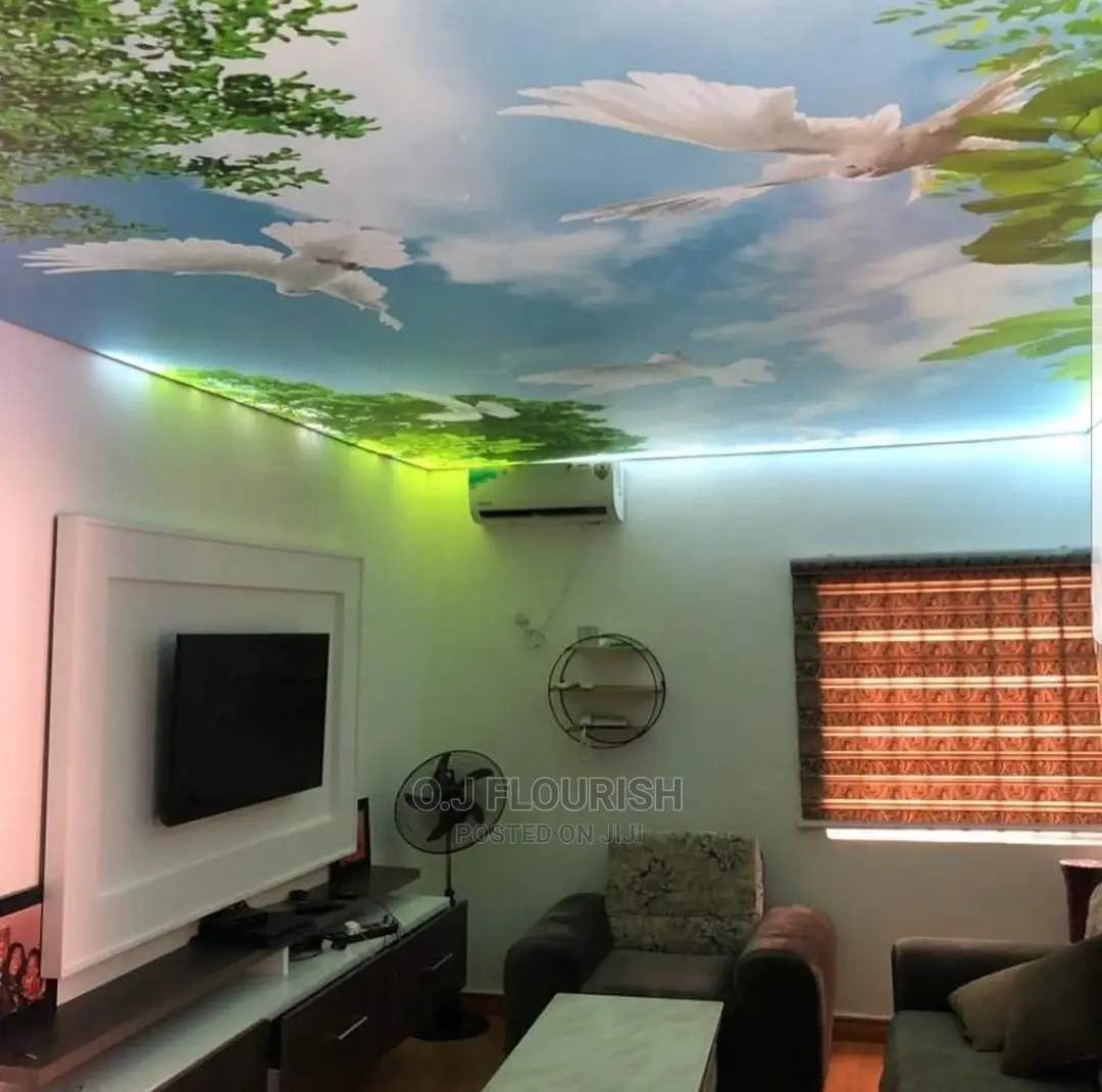 3D Stretch Ceiling Dopey Installation