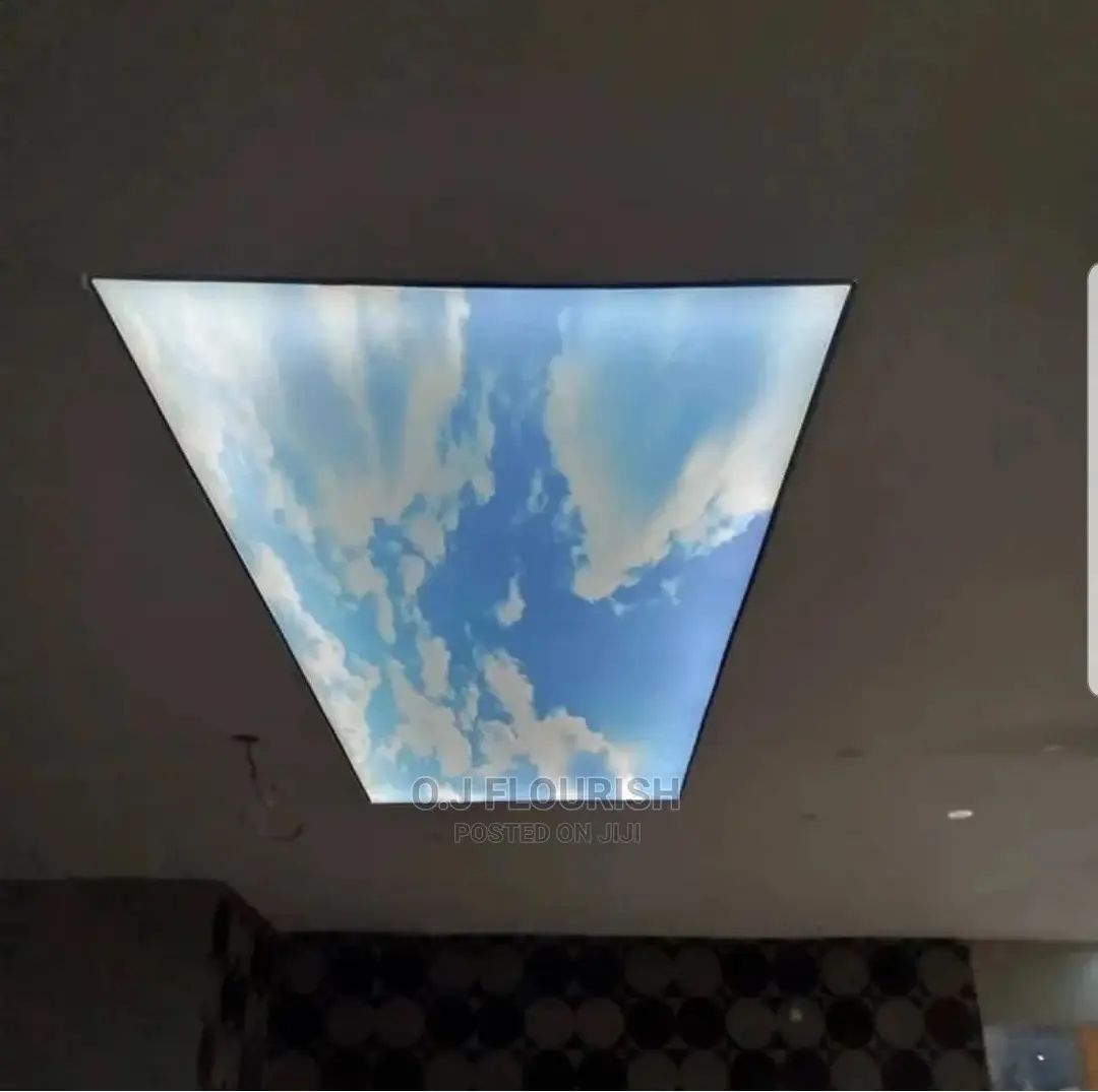 3D Stretch Ceiling Dopey Installation
