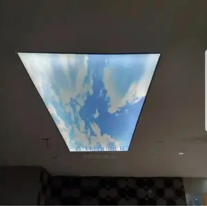 3D Stretch Ceiling Dopey Installation