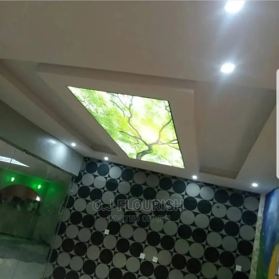3D Stretch Ceiling Dopey Installation