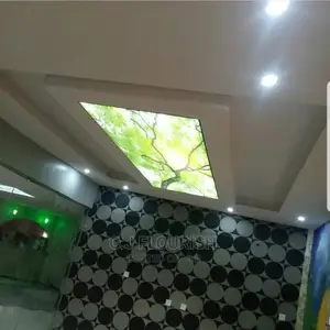 3D Stretch Ceiling Dopey Installation