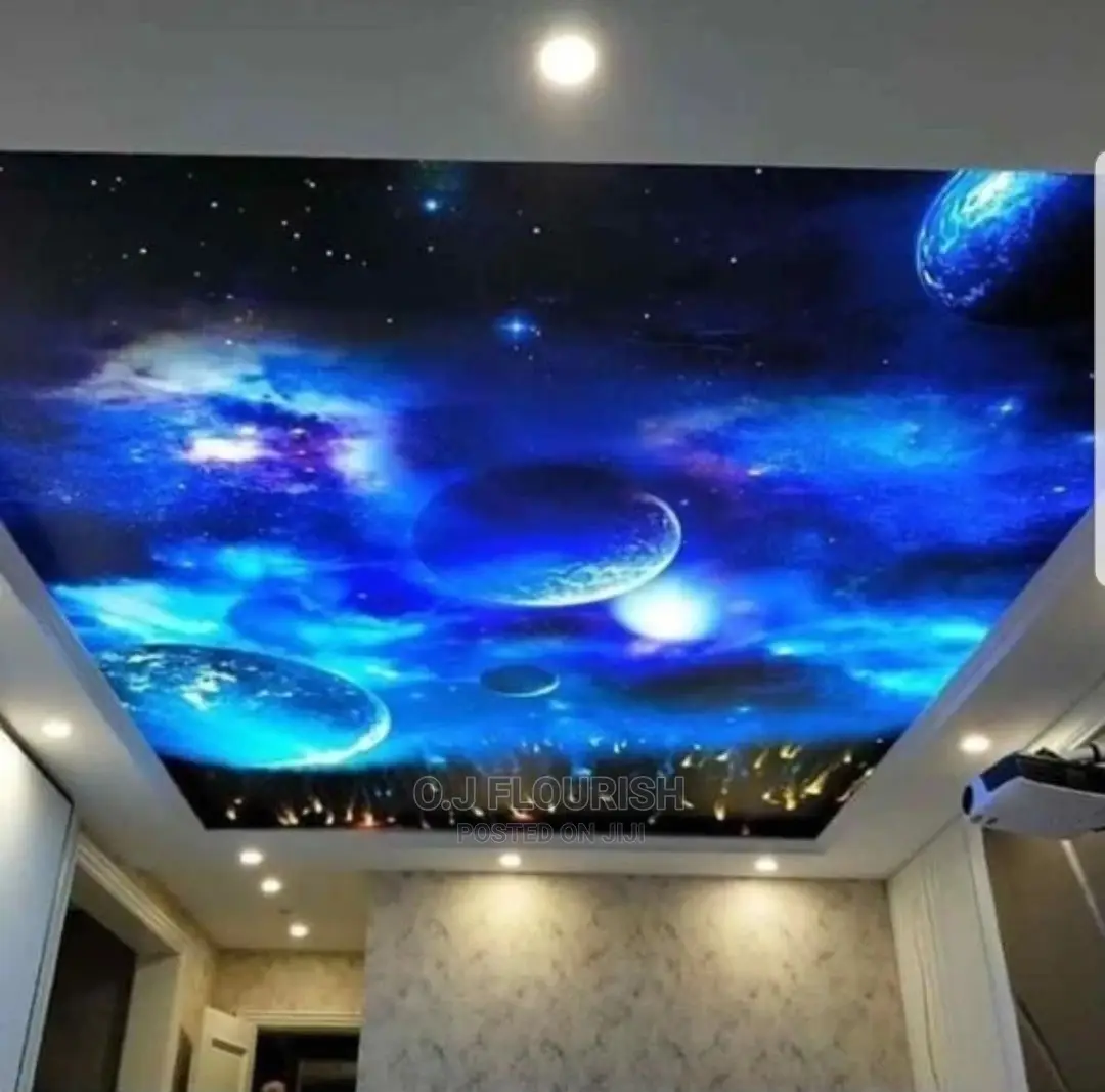3D Stretch Ceiling Dopey Installation