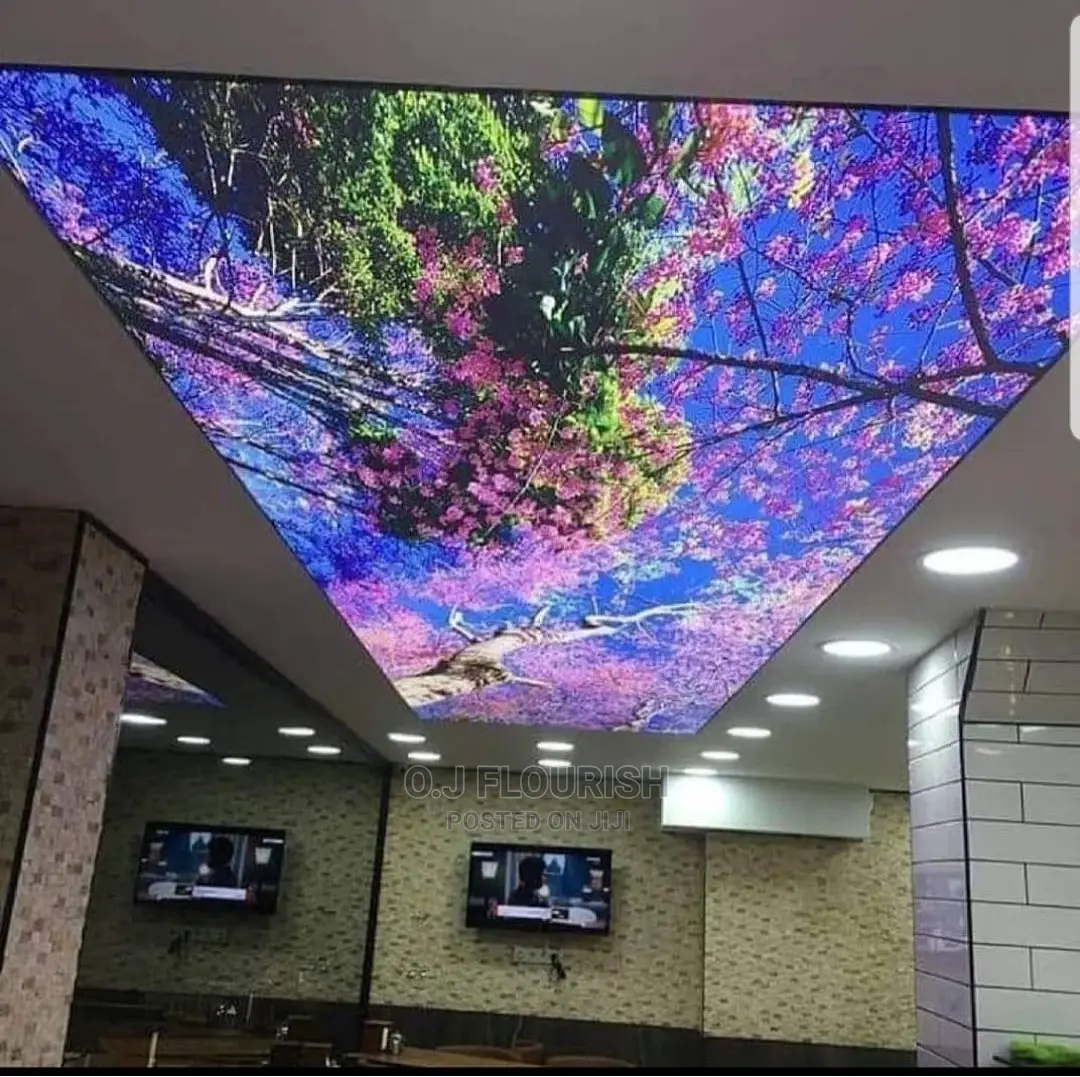3D Stretch Ceiling Dopey Installation