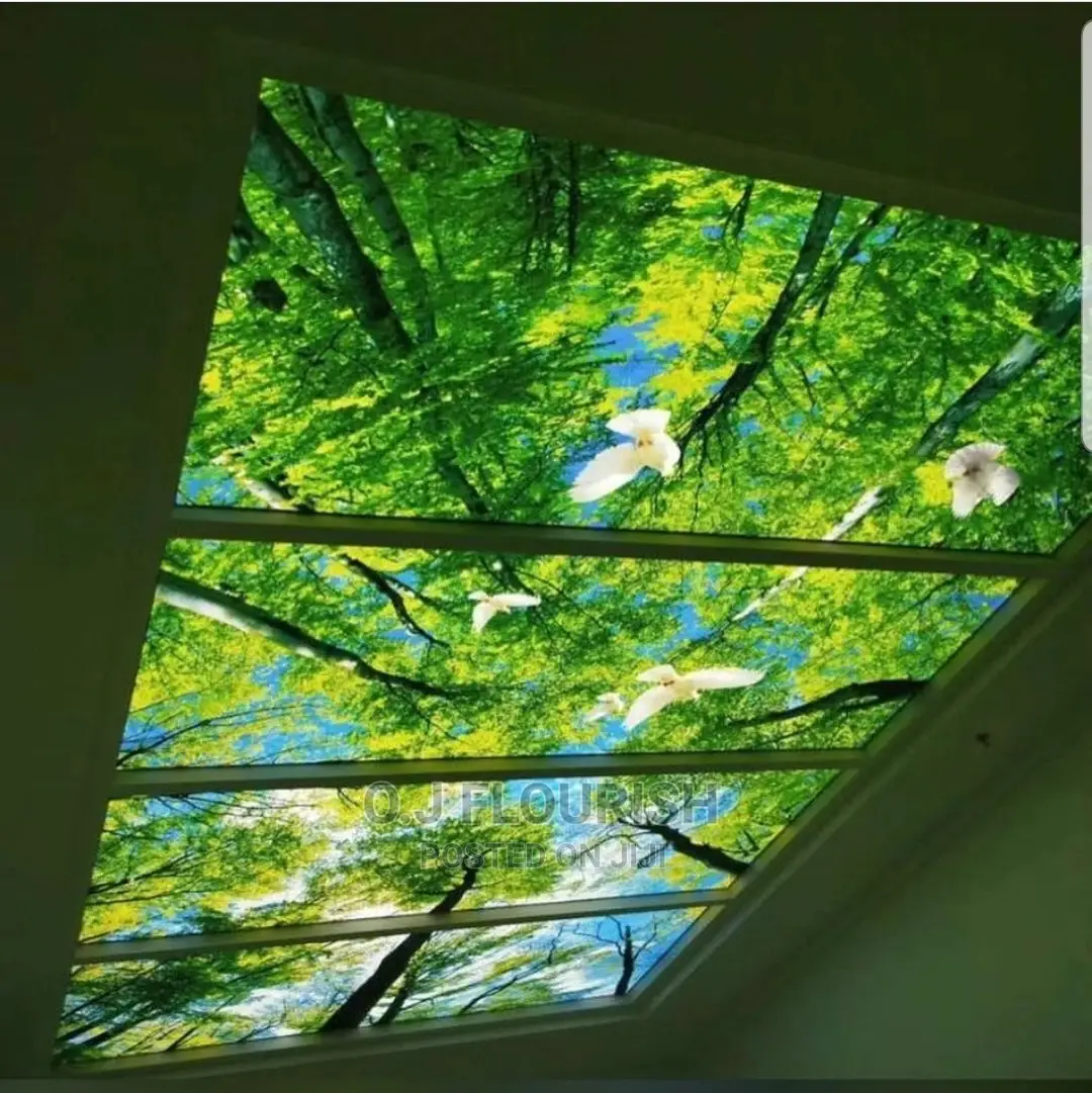 3D Stretch Ceiling Dopey Installation