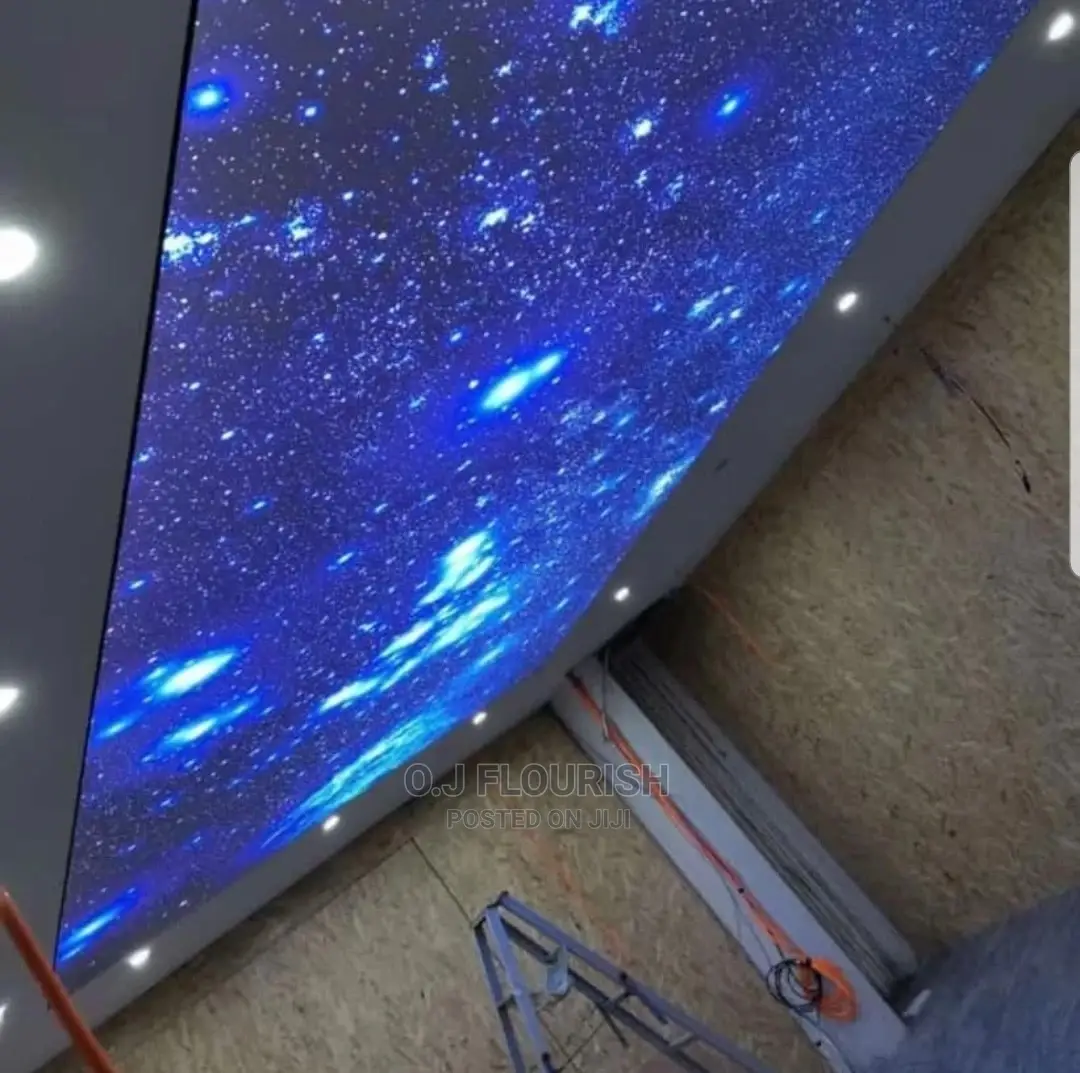 3D Stretch Ceiling Dopey Installation