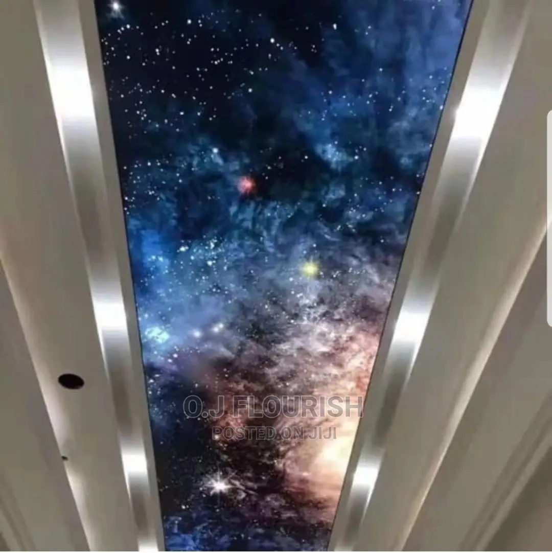 3D Stretch Ceiling Dopey Installation