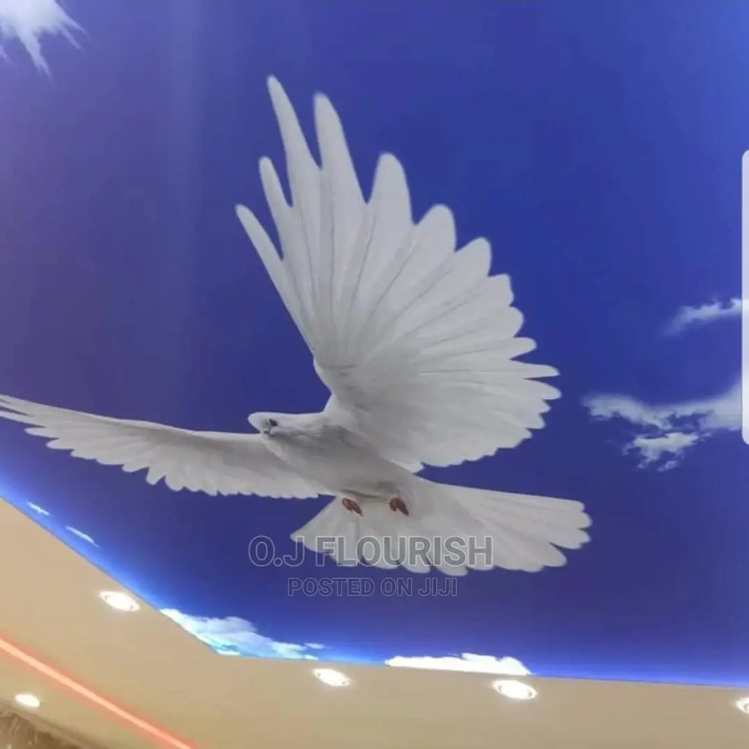 Eagles Wing 3D Stretch Ceiling