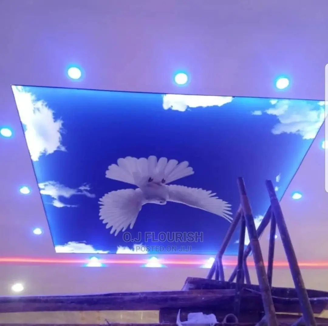 Eagles Wing 3D Stretch Ceiling