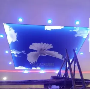 Eagles Wing 3D Stretch Ceiling