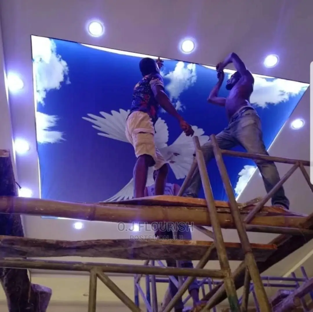 Eagles Wing 3D Stretch Ceiling