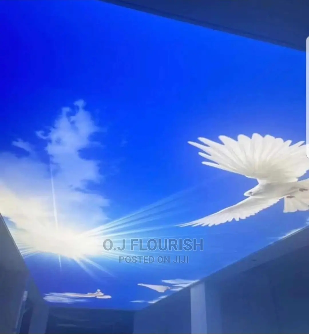 Eagles Wing 3D Stretch Ceiling