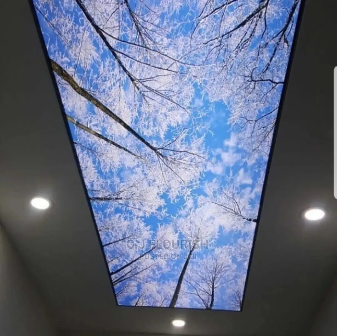 Eagles Wing 3D Stretch Ceiling