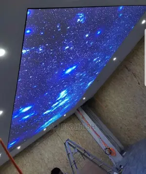 Eagles Wing 3D Stretch Ceiling