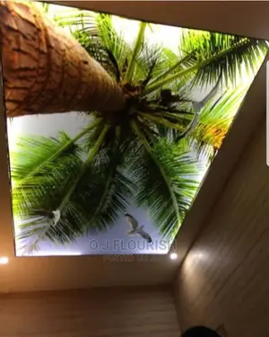 Eclipse of the Sun 3D Stretch Ceiling